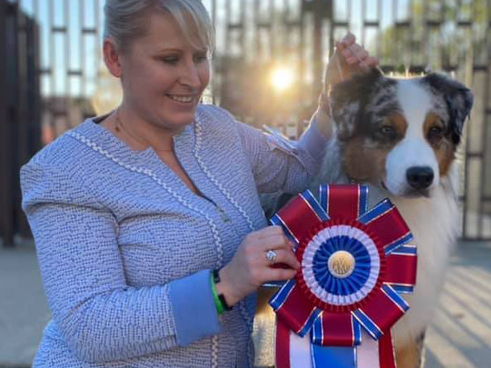 JJ Best In Show