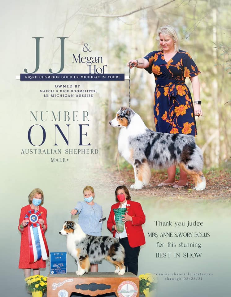 JJ ad in Dog News