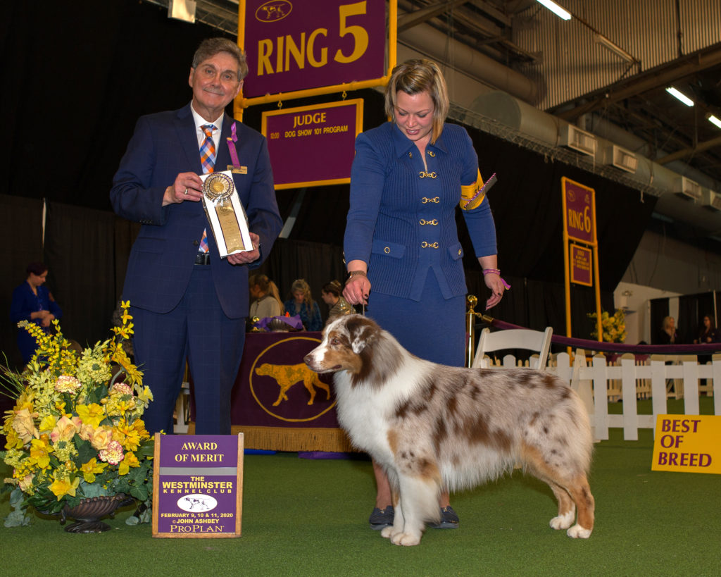 Thunder AOM at Westminster 2021