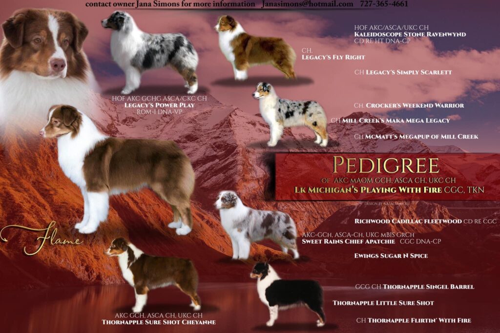 Flame visual pedigree