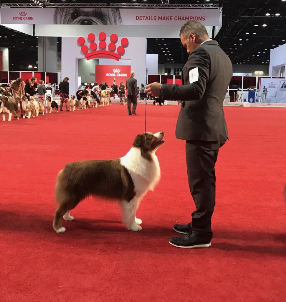 Flame with handler