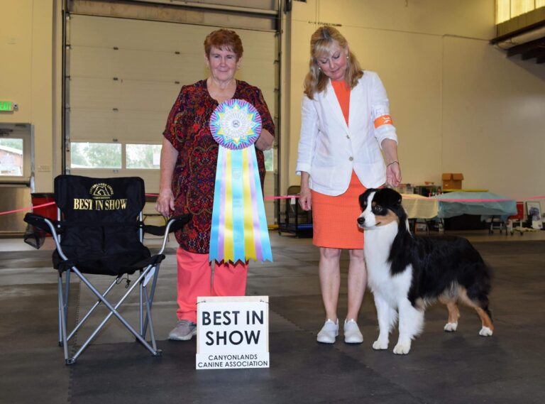 Sundance wins Best In Show