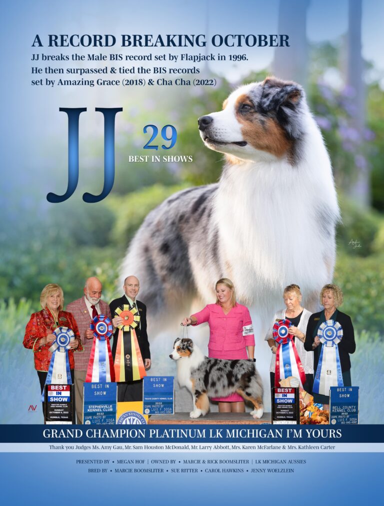 JJ Show Ad Oct 2022