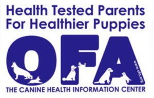 OFA-logo-300